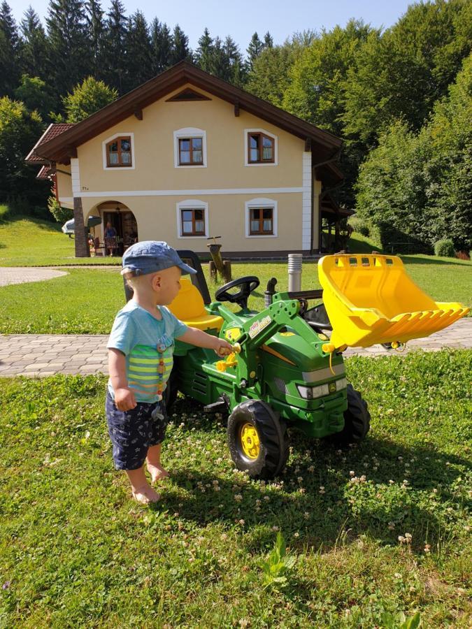 Ferienparadies Truppe Velden am Wörthersee Екстериор снимка